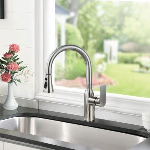 How to choose a kitchen faucet?