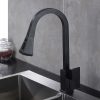 Kitchen Faucet with Pull Down Sprayer Granite black 3