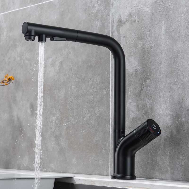 Modern Kitchen Faucet with Pull Out Multi Flow Sprayer Matte Black 5